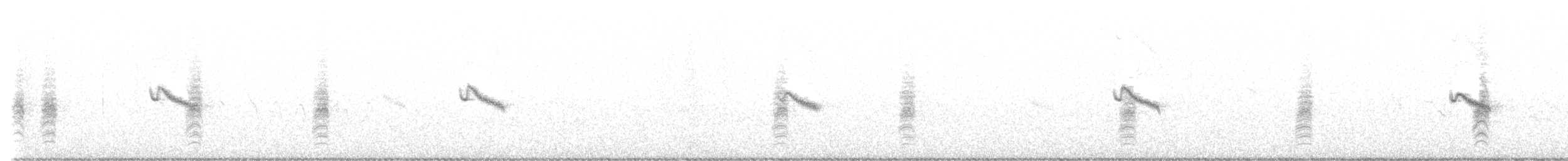 Tractrac Chat - ML641862052