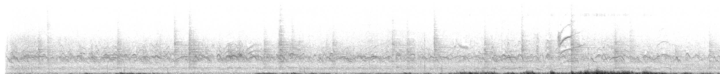 Namaqua Sandgrouse - ML641862156