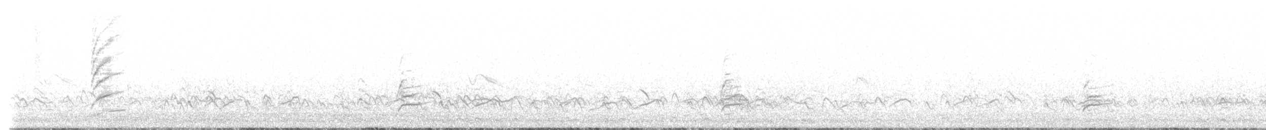 Black-headed Canary - ML641862191