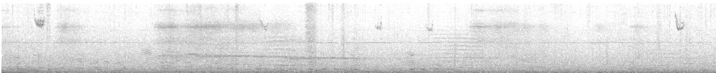 White-throated Sparrow - ML641862492
