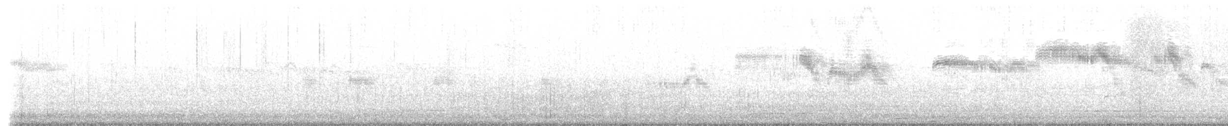 Bradfield's Swift - ML641862914