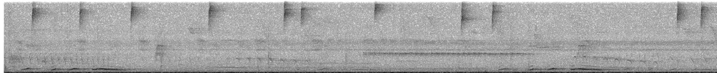 Weintaube - ML641863199