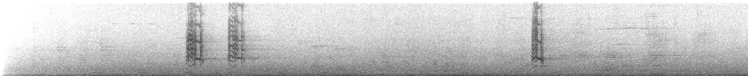 Mitred Parakeet - ML641866397