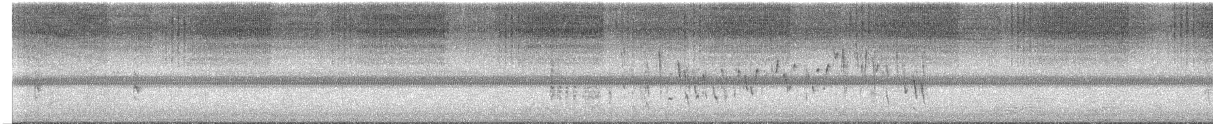 Northern House Wren - ML641868084