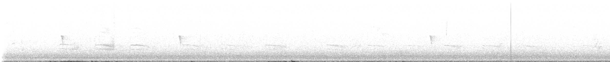 Moucherolle phébi - ML641868097