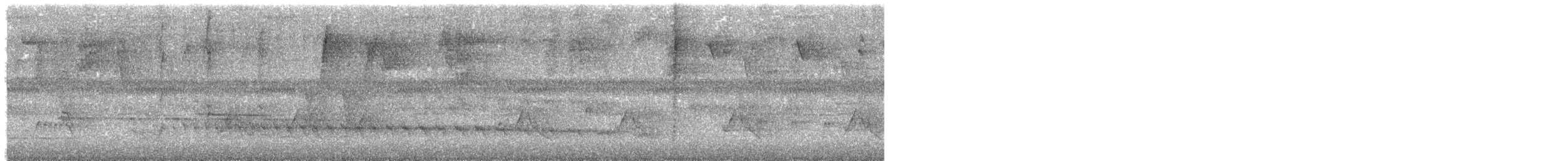 Black-striped Woodcreeper - ML641868628