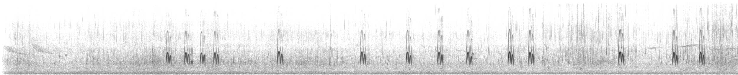 Collared Plover - ML641870269