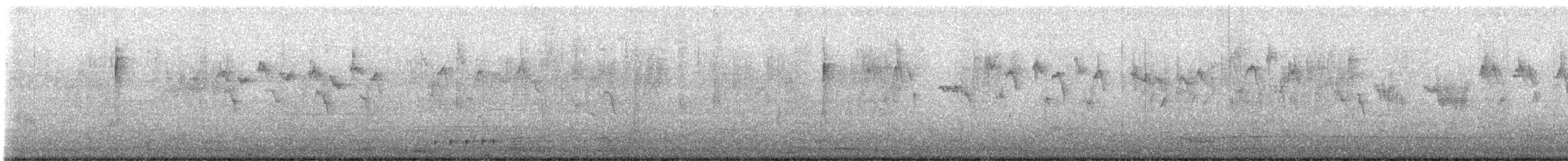 Townsend's Warbler - ML641871211