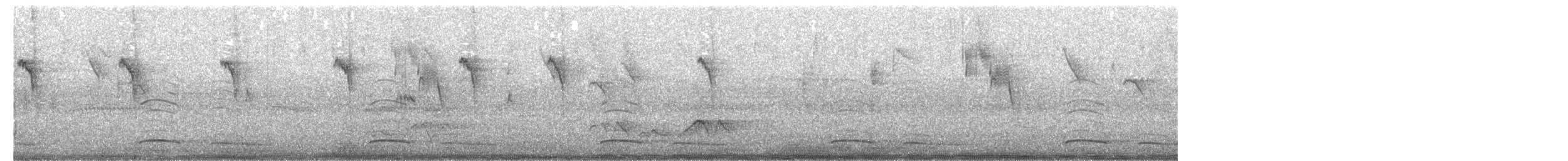 sokolec volavý - ML641871840