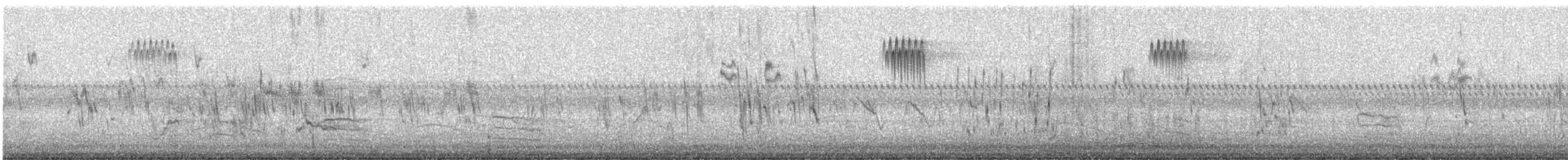 Hirondelle bicolore - ML641871921
