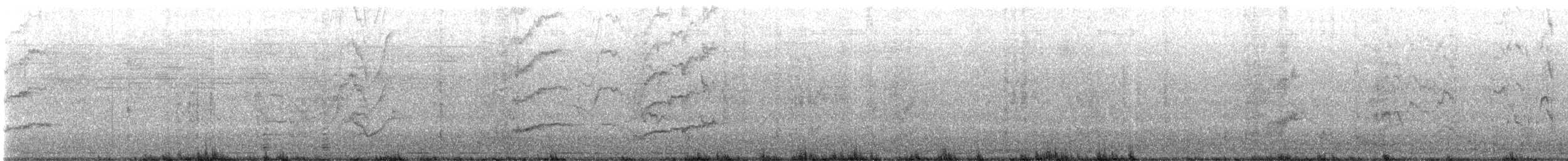 Great-tailed Grackle - ML641872427