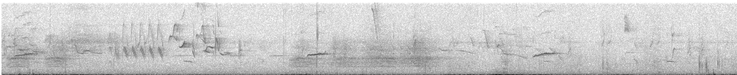 Piratic Flycatcher - ML641873142