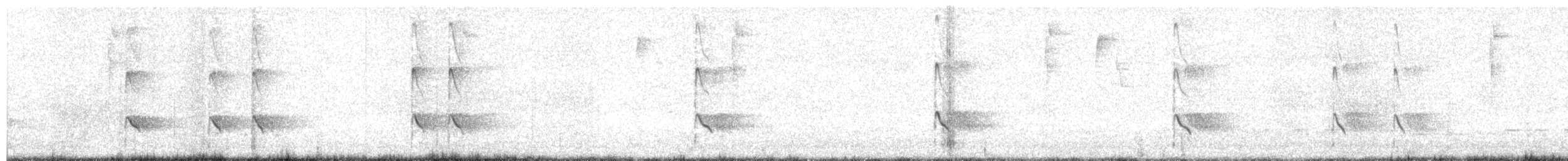 Lesser Yellowlegs - ML641873147