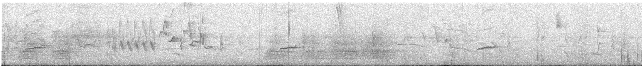 Piratic Flycatcher - ML641873737
