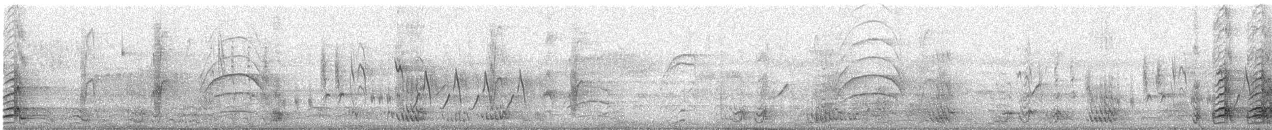 Yellow-crowned Amazon - ML641873823