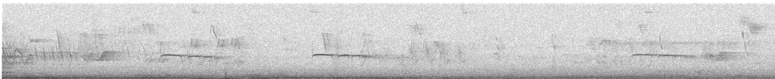 Southern Beardless-Tyrannulet - ML641874078