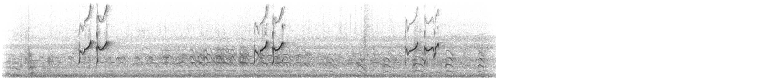Solitary Sandpiper - ML641875171