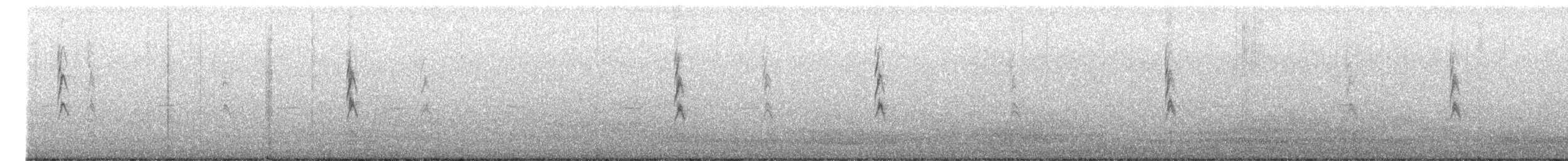 Song Sparrow (heermanni Group) - ML641875571