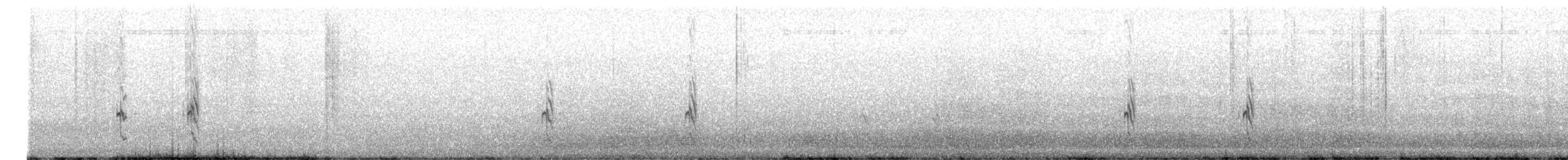 Semipalmated Plover - ML641875595