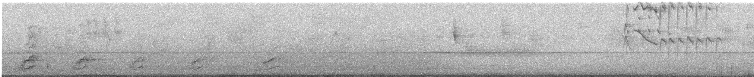 glattnebbani - ML641878126