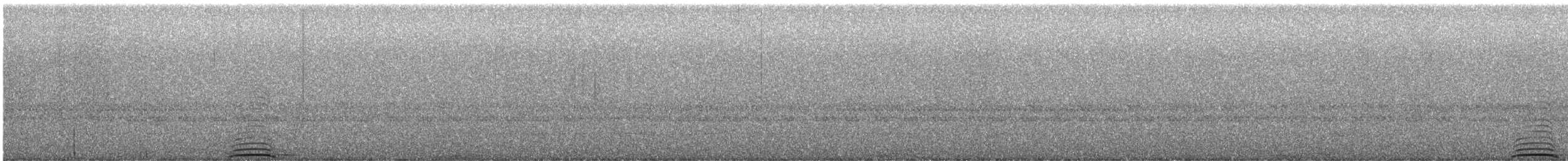 Stygian Owl - ML641878688
