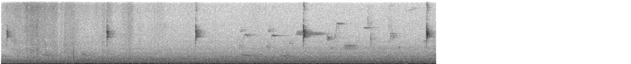 Northern Waterthrush - ML641879378