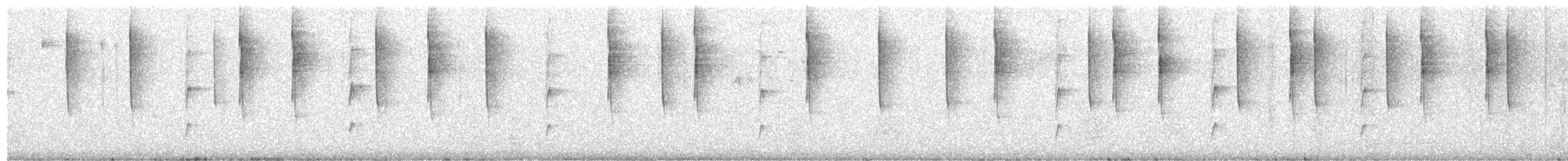 Colibri thalassin - ML641880272