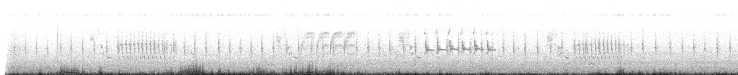 Pampazaunkönig - ML641880690