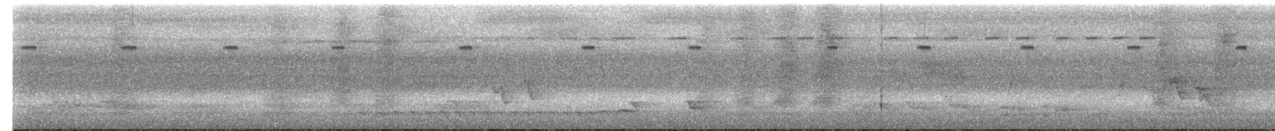 Black-crowned Antshrike - ML641881059