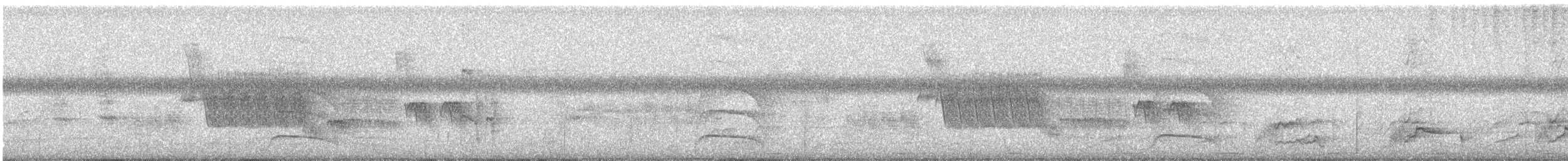 glattnebbani - ML641881200
