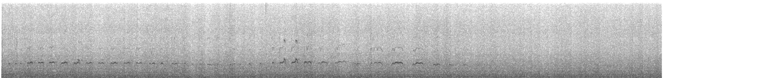 Blackish Oystercatcher - ML641883560