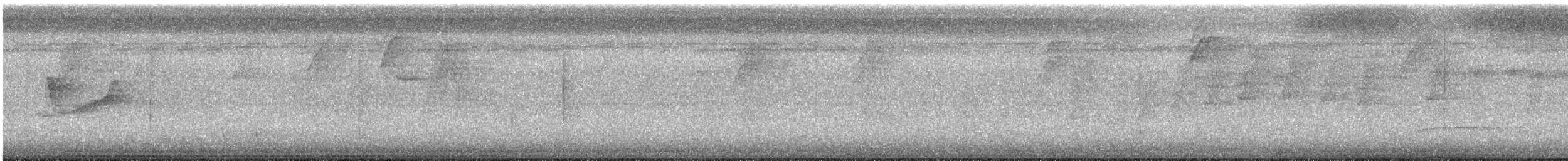 Forest Elaenia - ML641886055