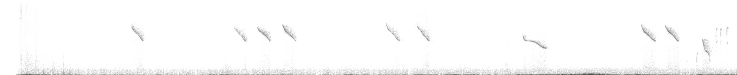 Chestnut-rumped Thornbill - ML641887029