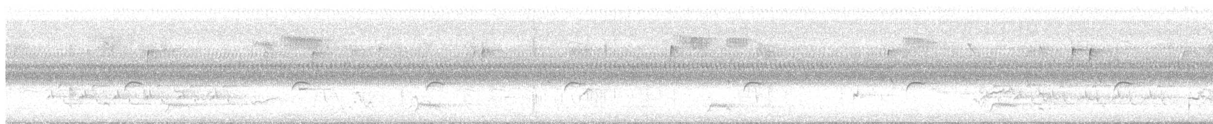 Carolina Wren - ML641887858
