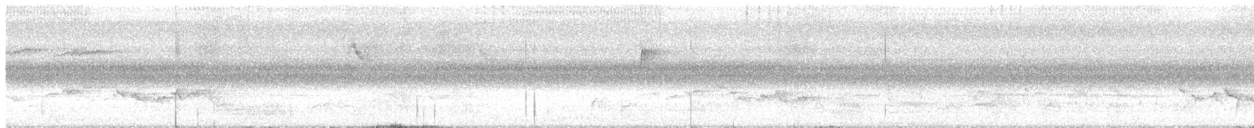 Warbling Vireo (Eastern) - ML641887906