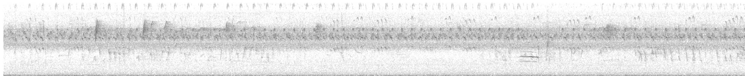 Northern House Wren (Northern) - ML641887928