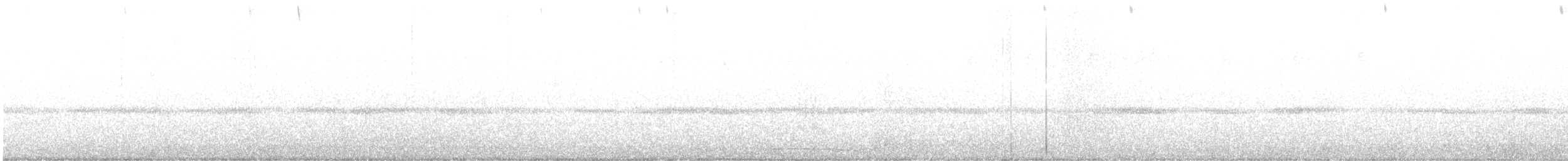 Chouette hulotte - ML641888040