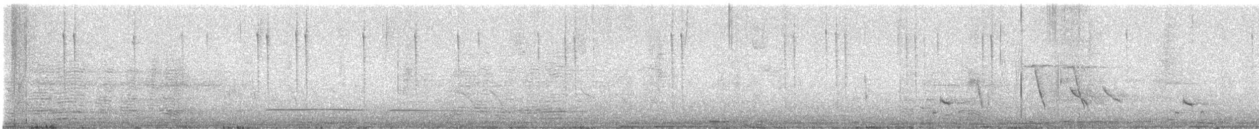 Peruvian Sheartail - ML641888132
