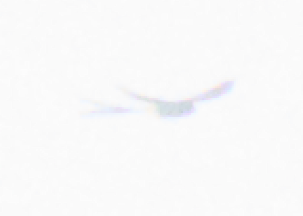 Fork-tailed Flycatcher - ML641889422