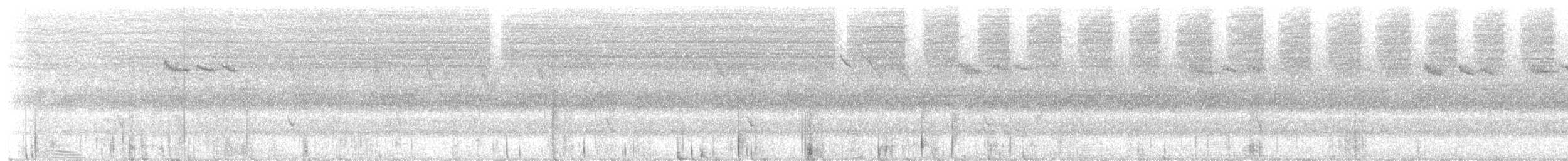 Сүүлт хөх бух - ML641890120