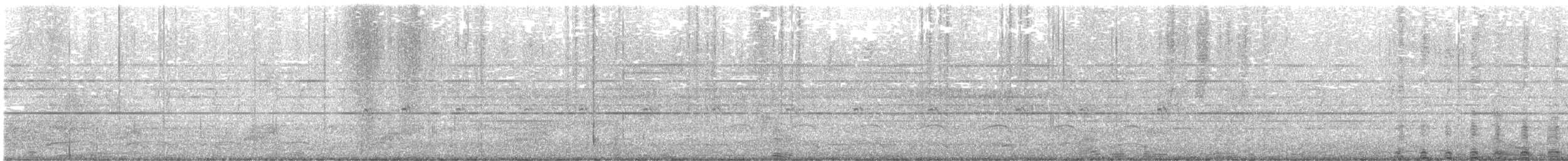 Stilt Sandpiper - ML641890891