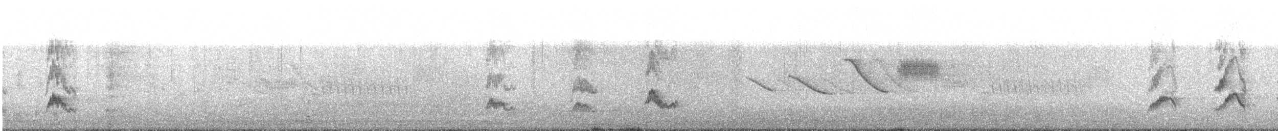 Chilespottdrossel - ML641891588