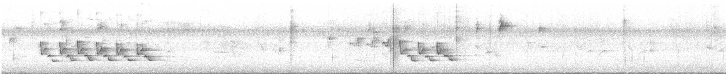 Carolina Wren - ML641891825