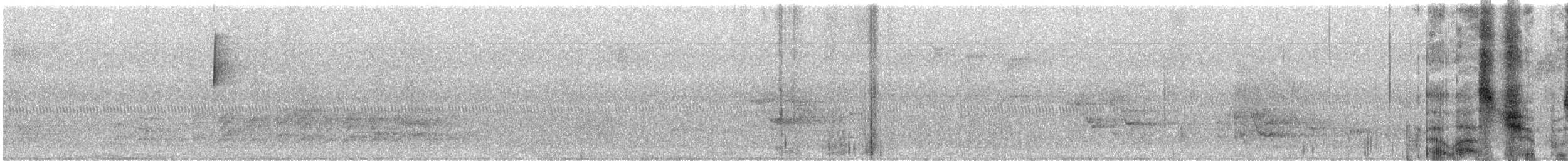 Black-throated Blue Warbler - ML641892271