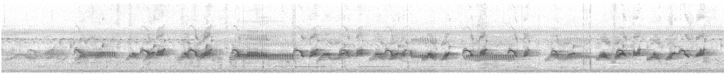Plumbeous Rail - ML641895573