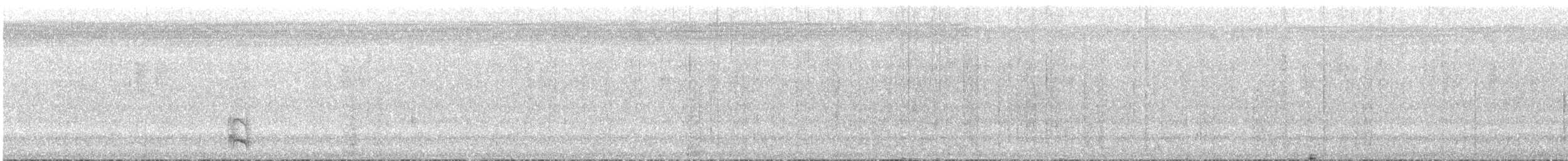 Buff-breasted Wren - ML641896294