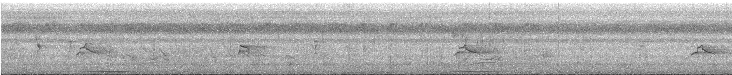 Piratic Flycatcher - ML641896314