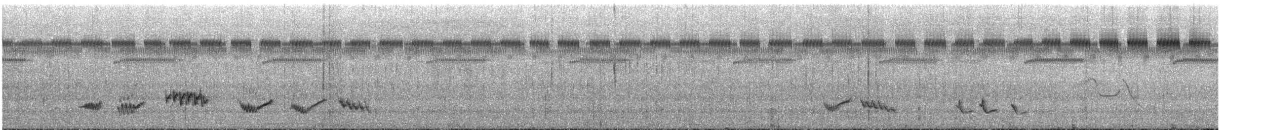 Tropical Mockingbird - ML641896328