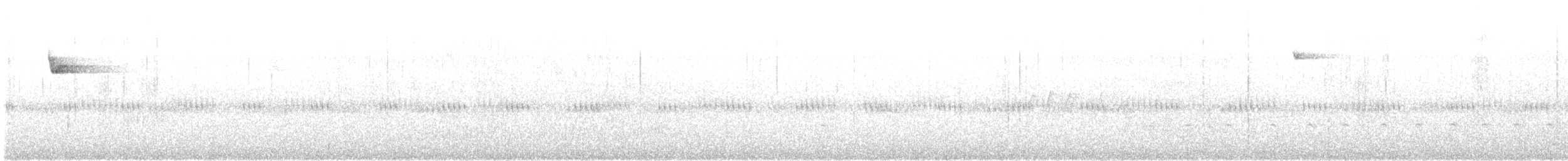 キメジロハエトリ - ML641897977