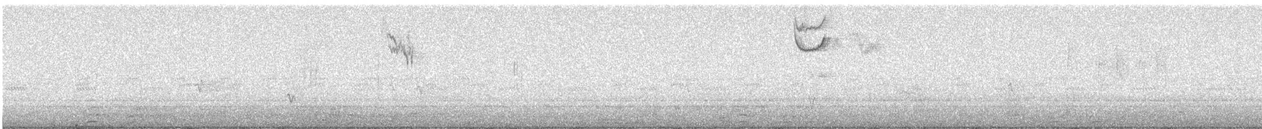 Tohi à calotte fauve - ML641898341